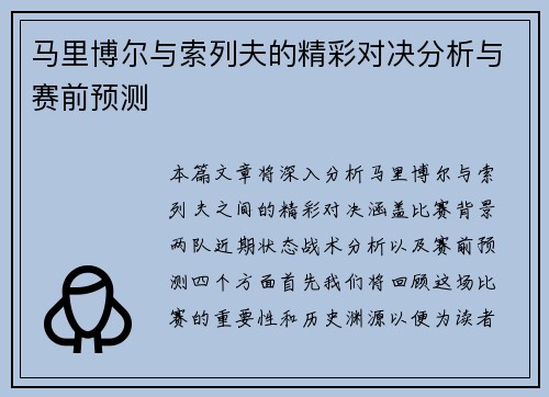马里博尔与索列夫的精彩对决分析与赛前预测